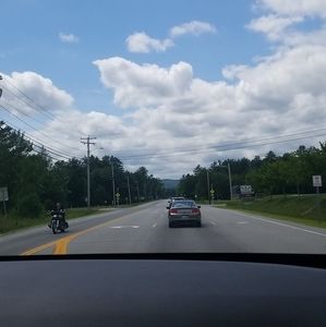 Meet your Posher, Willow